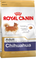 Chihuahua - 1,5 kg