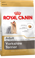 Yorkshire Terrier - 1,5 kg