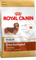 Dachshund - 1,5 kg