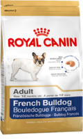 French Bulldog - 3 kg